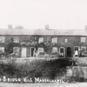 Drainbridge Cottages, Sea Dyke Way, Marshchapel - Circa; early 1900s.
Was situated to the right of the White Horse Inn, but now demolished.