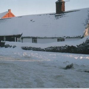 The Cottage, Littlefield Lane, Marshchapel.
The Chapel can be seen in the background.
This photograph was taken in the winter of 2014/15.