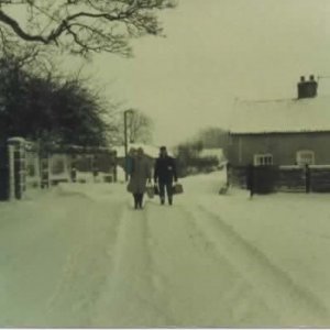 View looking down Hallgarth towards Littlefield Lane.
Photo date and people unknown.