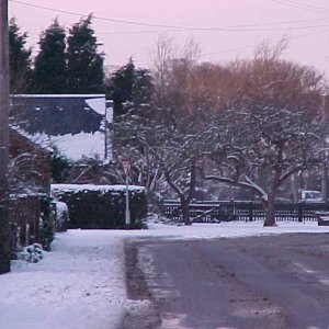 This photograph shows the village school and apple trees in the snow.