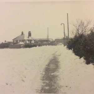 The School House, Mill Lane, Marshchapel.
This photograph looks as if it was taken from the edge of the Mill Field before the row of bungalows was built along Sea Dyke Way.
Winter 1979/