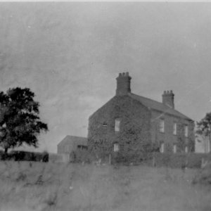 Although this photograph had nothing written on the reverse to say where it is, it may be another view of Lewis farm, Marshchapel.