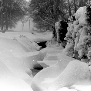 This photograph was taken on the way out of Marshchapel towards North Cotes.
15 February 1979
