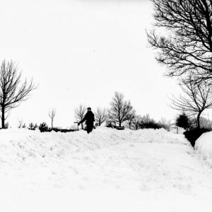 This photograph was taken on 16 February 1979.
This shows Sea Dyke Way on the outskirts of the village coming into the village from North Cotes.