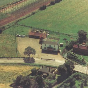 White Horse in colour