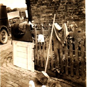 Behind the Old Post Office in Church Lane.
Ducks enjoying a bath!