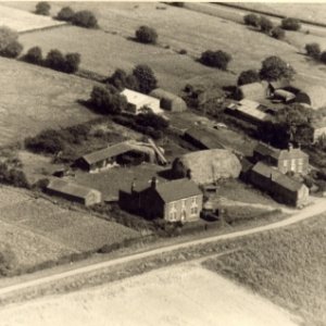 West End Lane showing the three farms.
L-R: Wrays, Patrick and Evisons