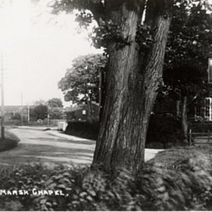 Looking south along Sea Dyke Way from the White Horse Inn.
The School House can be seen in the distance on the left hand side.
The tree in the foreground was cut down long ago.