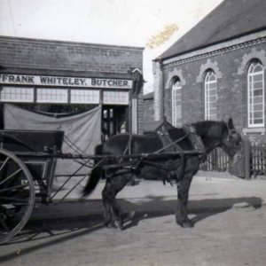 Frank Whiteleys Butchers shop on Sea Dyke Way, Marshchapel.
The pony was called Roger, and the photograph was taken before the Whiteleys moved to Torrington Street, Grimsby.