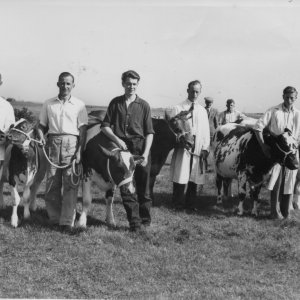 This photograph was thought to have been taken at the North Cotes Show - Circa; early / mid. 1950s.
L to R; Dennis Pridgeon, Unknown, Unknown, Unknown, John Sylvester, Harry Pickard.
