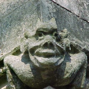 One of the many gargoyles surrounding the Churvh.