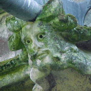 Another gargoyle who looks rather like the "Green Man"
