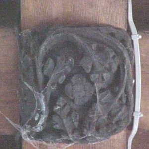 Ceiling boss with cobwebs and electricity cable!