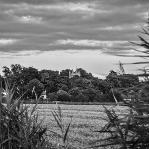 An atmospheric photograph of St. Marys Church seen towering above the surrounding trees. This photograph was probably taken from West End Lane.