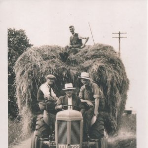 Haymaking - Down Church Lane
On top of trailer: Jack Burgess Snr
Left: Harrold Worrell
Right: Jack Burgess Jnr
Driver: Visiting friend.
