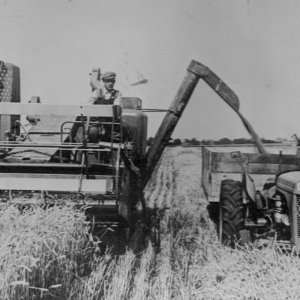 John Smith driving Caudwells Combine - Circa; 1950s.