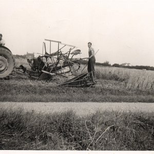 Reaper / Binder - Circa. Late 1940s.
Des Clark on tractor and Raymond Burgess, at Duckthorpe.