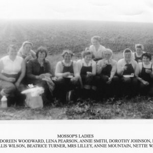 Mossops Ladies.
L to R; Doreen Woodward, Lena Pearson, Annie Smith, Dorothy Johnson, Marie Dalton,
Phyllis Wilson, Beatrice Turner, Mrs Lilley, Annie Mountain, Nettie Ward.