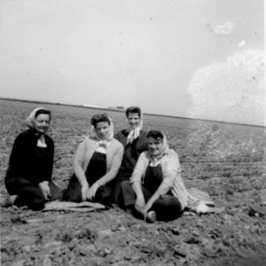 Caudwells Ladies.
L to R; Joan Beales, Nora Nicholson, Mary Worrell, Jean Horry.