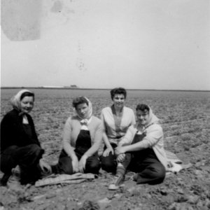 Caudwells Ladies.
L to R; Joan Beales, Nora Nicholson, Unknown, Jean Horry.