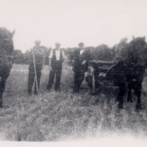 Harvesting at West End, Marshchapel.
L to R; Charlie Jacklin Snr, George Jacklin and Charlie Jacklin Jnr.