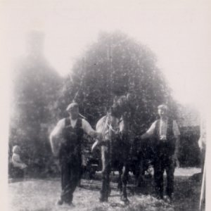 Harvesting at West End, Marshchapel.
Possibly Charlie Jacklin Jnr, on the left and George Jacklin on the right.
1940s.