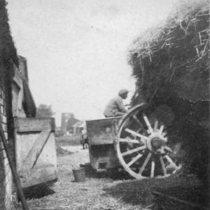 This photograph was probably taken at the rear of Clyde House, which stands on Sea Dyke Way. The Mill can be seen in the background.
The date of the photograph is uncertain, but could have been in the late 1920s or 1930s, as the Mill lost its sails in the early 1920s,
and none can be seen on this photograph. The Ireland family may have lived in Clyde House at this time and farmed in the area.