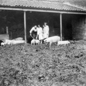 This photograph was taken in the crewyard which surrounded the farm near the sea,
which was eventually incorporated into Caudwells Farm. The photograph was probably taken in the early 1920s.