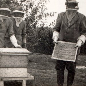 Beekeepers in Marshchapel
Henry Mossop is on the right.