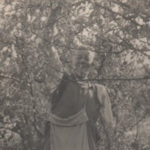 William Massingberd Osbourne.
Picking apples.
William lost an arm in WW1 and spent many years as the Marshchapel Village postman.