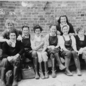 Mossops Ladies
Back row: Wendy Clark, Doreen Woodward
Front row: Nettie Ward, Annie Smith, Annie Mountain, Barbara Cook, Dot Johnson, Marie Ireland
