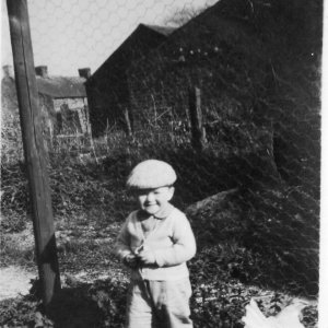 Peter Leak feeding chickens at the rear of the Marshchapel Trust cottages on Sea Dyke Way, where he used to live.
C.1950.