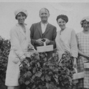 Sargent family fruit picking.