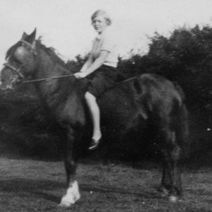 Kathleen Stubbs on a cart horse owned by Henry Hook who was a carrier.