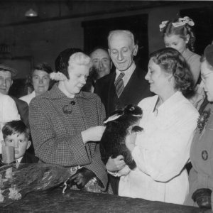 The little wide eyed lad on the left is Mick Grantham after receiving a prize in a rabbit show from the famous Grimsby swimmer, Brenda Fisher.