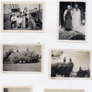 Compilation of agricultural scenes.