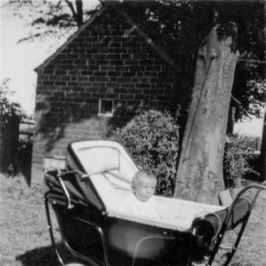 Wilfred Deamer - aged 7 months
This photograph was taken in 1947 at Walnut Farm which was the home of his Great Aunt Alice Ware.