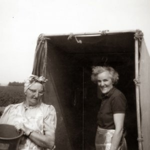 Millie Deamer on the left, and Beatrice Wilson working in the blackcurrant fields of Caudwell Farms.
The blackcurrants were grown on land towards the sea.  Both their husbands also worked for Caudwells.